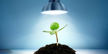 СВЕТОДИОДНАЯ ЛАМПОЧКА ДЛЯ ВЫРАЩИВАНИЯ РАСТЕНИЙ 5ВТ БЕЛАЯ