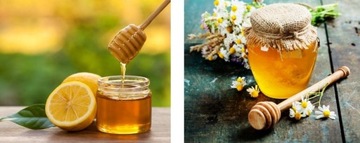 Контейнер-отстойник с клапаном для меда 20л Ведро для меда HANDLE с клапаном для меда