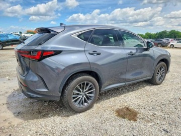 Lexus NX II 2025 Lexus NX 250 Premium 2025 2.5 Benzyna 203KM, zdjęcie 3