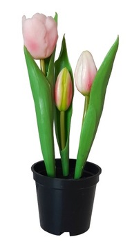 TULIPAN TULIPANY SILIKONOWE w osłonce RÓŻOWE