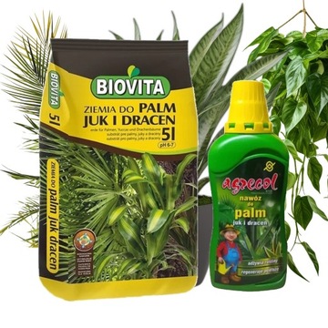 ZESTAW DO PALM, JUK I DRACEN - ZIEMIA BIOVITA 5l + NAWÓZ PŁYNNY AGRECOL