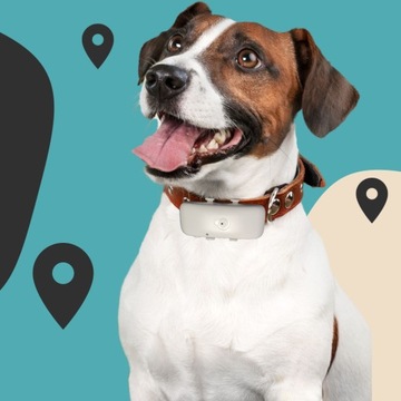 GPS ЛОКАТОР ЖИВОТНЫХ СОБАКА КОШКА Установить SIM-карту PL Сервер Нет подписки