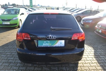 Audi A3 8P Hatchback 3d 1.9 TDI 105KM 2008 Audi A3 z Niemiec ,Opłacony, zdjęcie 5