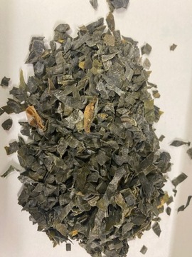 Laminaria Listownica Japońska Rafex 100 G