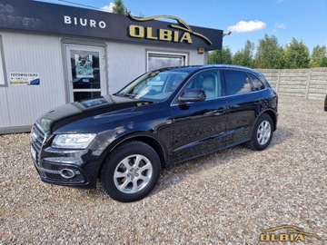 Audi Q5 I SUV 2.0 TDI 170KM 2009 Audi Q5 Panorama Dach Quattro Hak Radar 2.0 Diesel 170KM, zdjęcie 1