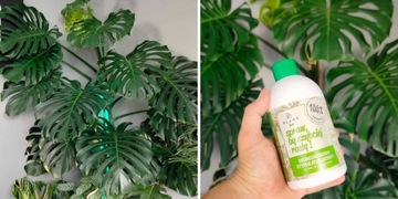Spraw, by szybciej rosły 500 ml | Plant lover| stymulator wzrostu do roślin