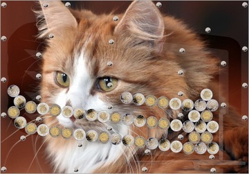 Невероятно крутая копилка монет с автовыплатой. Фотографии изображений животных.