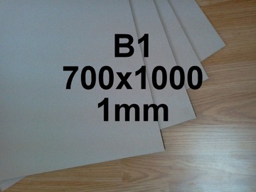 TEKTURA INTROLIGATORSKA MODELARSKA 700x1000 1mm