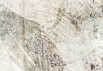 ФОТОобои ЦВЕТЫ ЛИСТЬЯ 400x280 b-A-10394-a-a