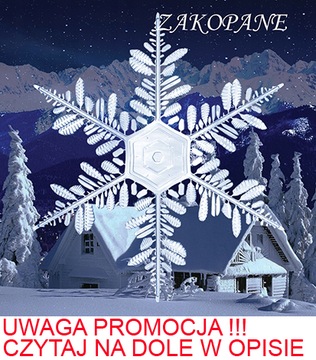 MAGNES NA LODÓWKĘ 3D ZAKOPANE WIRUJĄCY PŁATEK