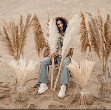 Пампасная трава Бежевый XL Натуральный сушеный Типичный