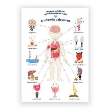 Plakat edukacyjny anatomia dla dziecka format A2