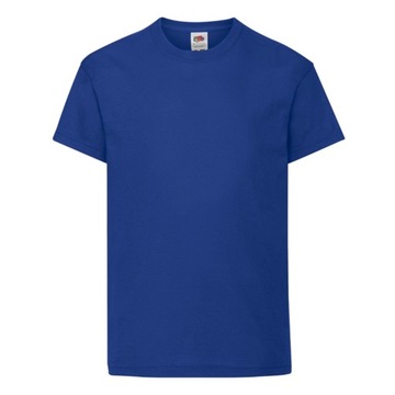 DZIECIĘCA KOSZULKA T-SHIRT FRUIT FC royal blue 164