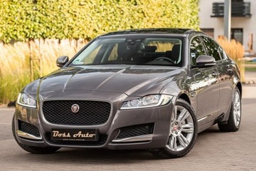 Jaguar XF II Sedan 2.0 i4D 180KM 2016 Jaguar XF XF 2.0D 180KM Full Pano LEdy Skora Camera Navi Full ASO 2.0