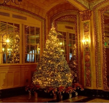 Елочные фонари на батарейках 8 м для внутреннего/наружного использования IP44 100 светодиодов Теплый белый