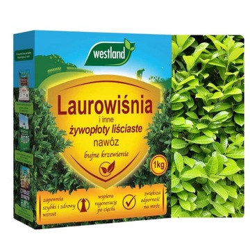 NAWÓZ DO LAUROWIŚNI I INNYCH ŻYWOPŁOTÓW LIŚCIASTYCH BUJNE KRZEWIENIE 1KG