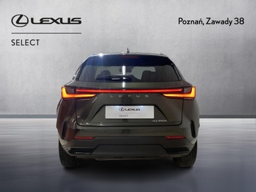 Lexus NX II SUV 350h 242KM 2022 Lexus NX 350h Prestige AWD II (2021-) Lexus NX 350, zdjęcie 6