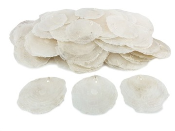 MUSZLE CAPIZ z dziurką MASA PERŁOWA 8cm 200szt 1kg