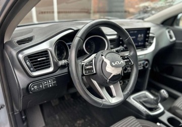 Kia Ceed III Hatchback Facelifting  1.5 T-GDI 160KM 2023 Kia Ceed Cena Brutto 1.5 Benzyna 160KM, zdjęcie 13