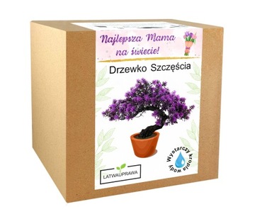 Подарок на День матери, дерево счастья, бонсай, подарок на День матери, роза