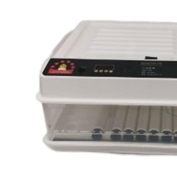 Automatyczny inkubator jaj. Automatyczny inkubator jaj 64Eggs
