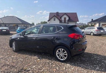 Kia Ceed II pro_cee´d 1.6 GDI 135KM 2014 Kia Ceed 1.6B 135KM klimatronik stan bdb LEDY 1.6 Benzyna 135KM, zdjęcie 3