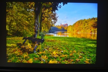 ЖК-проектор Sony VPL-EW255 белый