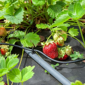 Комплект капельного орошения 50 м 16 мм 4л/ч