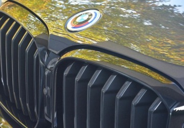 BMW X3 G01 2023 BMW X3 BMW X3 xDrive20i M Sport Dostawa pod dom w cenie Dealer BMW Bonkows, zdjęcie 11