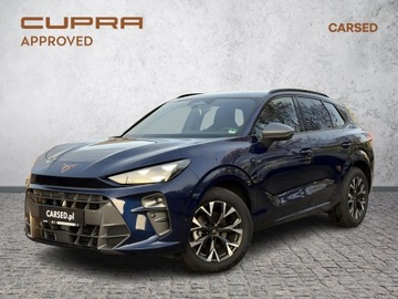 Cupra Terramar SUV 1.5 eTSI 150KM 2024 Cupra Terramar 1.5 TSI / 150 KM DSG FV-23%, ASO, B