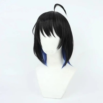 Bliźniaki Seele Vollerei Cosplay z grą Honkai Impact 3 przebranie na karna