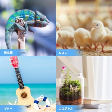 4 szt. Praktyczny przenośny termometr i miernik wilgotności