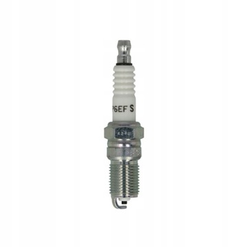 SWIECA ISKROWA DB