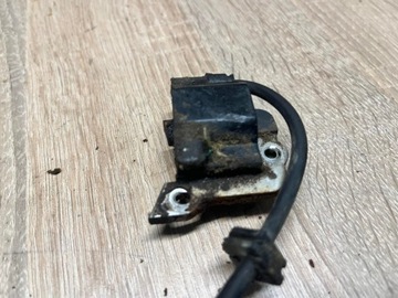 EINHELL BG-PC 1235 МОДУЛЬ КАТУШКИ КАТУШКА ИСКРА