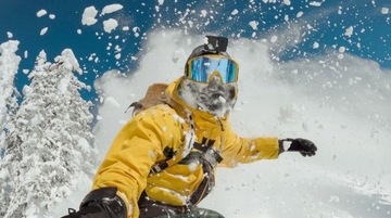 Oryginalna opaska na głowę GoPro Head Strap 2.0 Strappy do kamer sportowych
