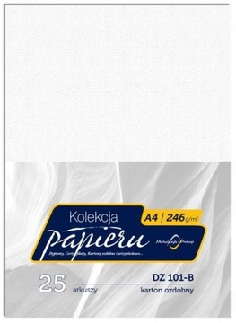 Karton wizytówkowy, na dyplom A4 246g płótno biały DZ101-B
