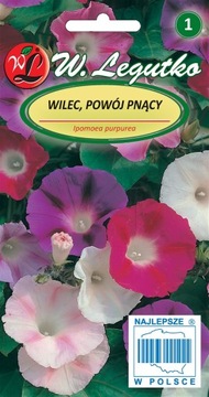 Wilec Powój pnący mieszanka pnącze nasiona 1g