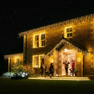 ICILS 100LED НАРУЖНЫЕ ЛАМПЫ IP44 ПОСТОЯННАЯ СВЕТОВАЯ ЗАВЕСА СВЕТОВАЯ ГИРЛЯНДИЯ