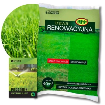 TRAWA NASIONA RENOWACYJNA REGENERACYJNA DO ODNAWIANIA TRAWNIKA 1KG