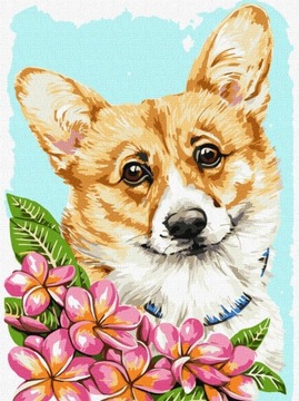 Obraz MALOWANIE PO NUMERACH Pies corgi zwierzęta 30x40, Prezent