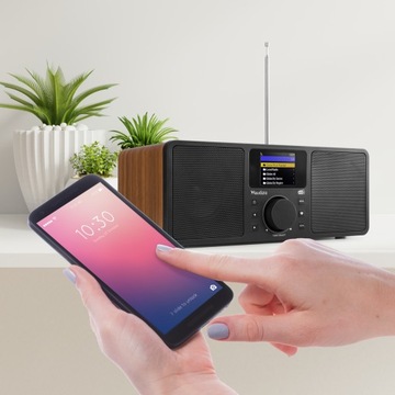 WIFI DAB+ FM BT ИНТЕРНЕТ-РАДИО КОРИЧНЕВЫЙ ПУЛЬТ ДИСТАНЦИОННОГО УПРАВЛЕНИЯ