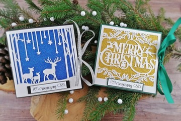 Рождественский футляр для диска с сессии -W2