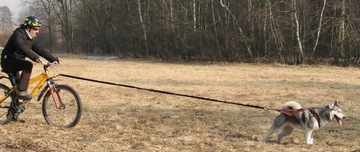 HIFICA SKI BIKE 3.2 PP 40 +Q Cord Амортизированный поводок Лыжный велосипед для лыжного спорта