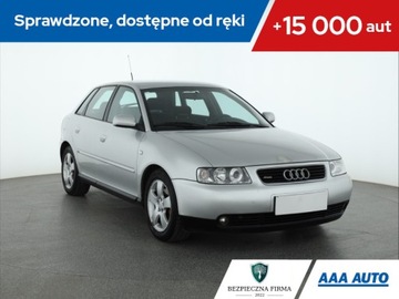 Audi A3 8L Hatchback 1.9 TDI PD 100KM 2001