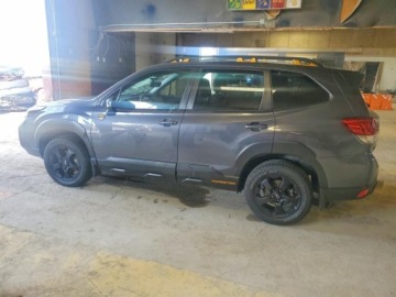 Subaru 2023 Subaru Forester Wilderness 2023 2.5 Benzyna 182KM, zdjęcie 1