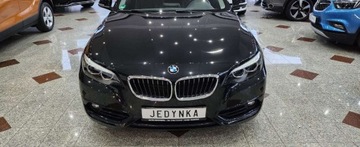 BMW Seria 2 F22-F23-F45-F46 Coupe 218i 136KM 2017 BMW Seria 2 BMW 218i Sport Coupe LIFT Nawigacja Lampy Full Led MOZLIWA ZAM, zdjęcie 13
