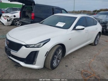 Cadillac 2021 Cadillac CT5 Premium Luxury 2021 2.0l 2.0 Benzyna 237KM, zdjęcie 6