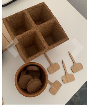 4 DRZEWKA BONSAI do Samodzielnej Uprawy Zestaw