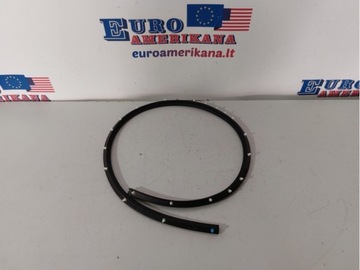2015-2020 Ford Mustang Rear Seal FR3Z-16740-A