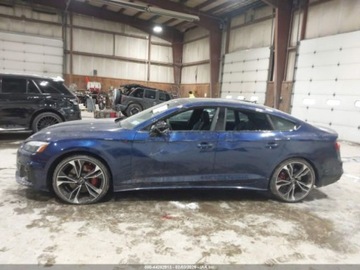 Audi A5 B10 2024 Audi S5 Sportback Premium Plus Tfsi Quattro Tiptronic 2024 3.0 Benzyna, zdjęcie 2